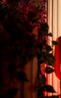 Шлюха Ася 29646