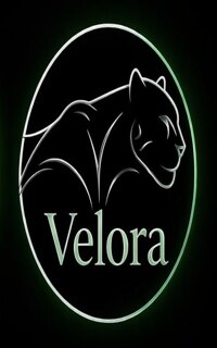 Шлюха Velora 39084